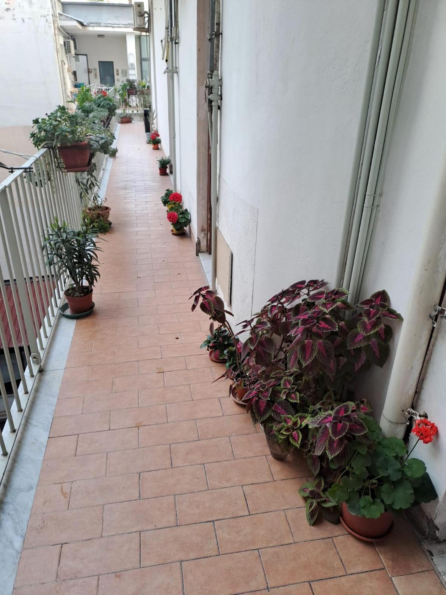 B&B Domus Pina Catania-Fontanarossai nemzetközi repülőtér Kültér fotó