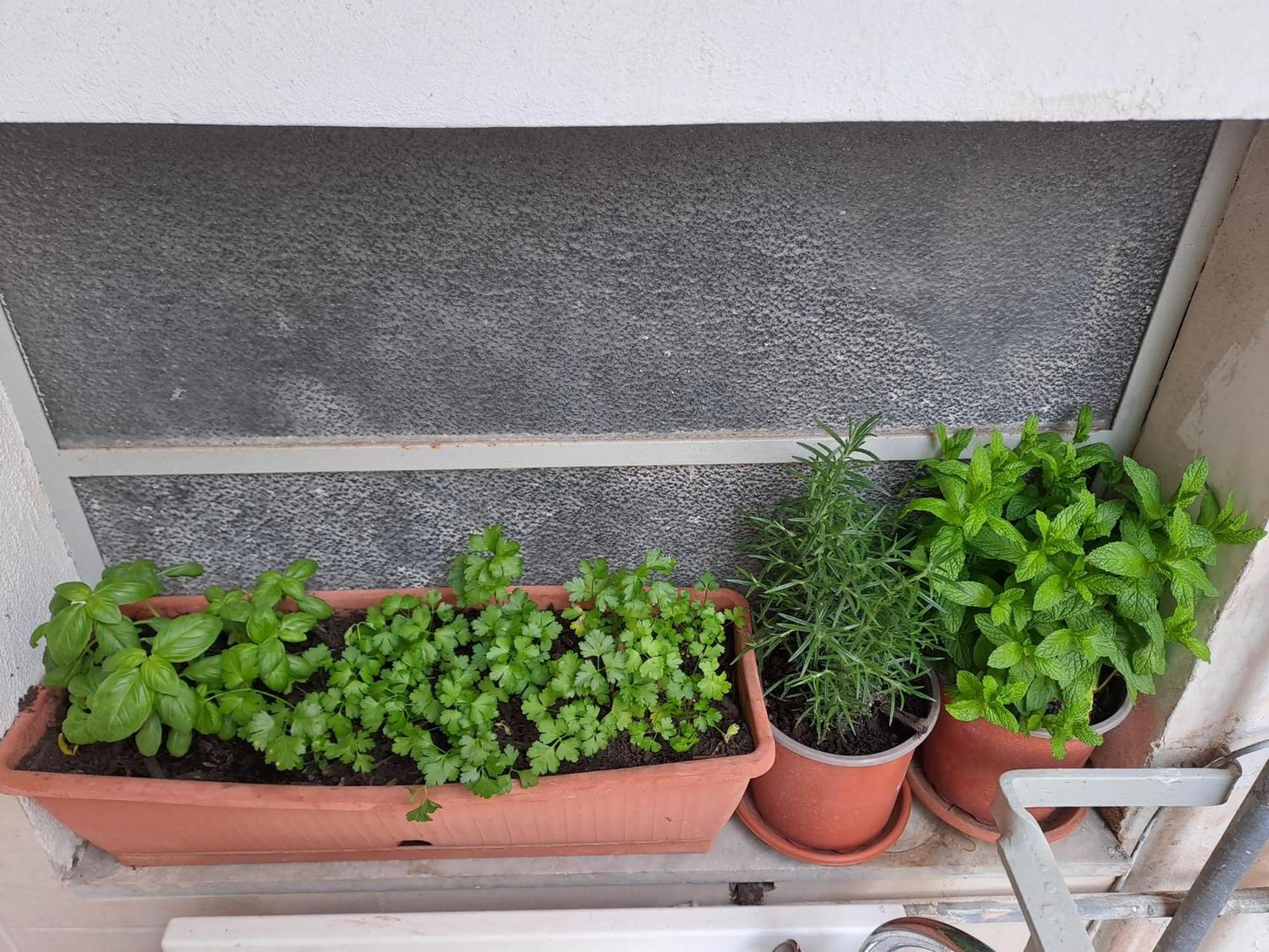 B&B Domus Pina Catania-Fontanarossai nemzetközi repülőtér Kültér fotó