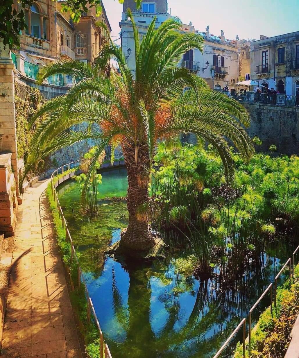 B&B Domus Pina Catania-Fontanarossai nemzetközi repülőtér Kültér fotó
